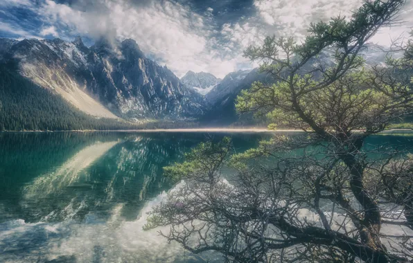 Картинка горы, озеро, отражение, дерево