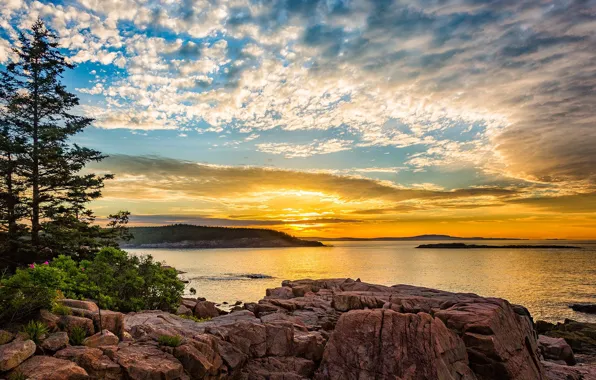Картинка USA, sky, trees, landscape, nature, water, mountains, clouds, rocks, sunrise, Maine, Mount Desert Island