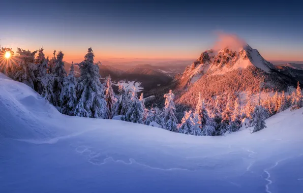 Картинка зима, снег, деревья, закат, гора, ели, вершина, сугробы, Slovakia, Словакия, Малая Фатра, Little Fatra, Malá …