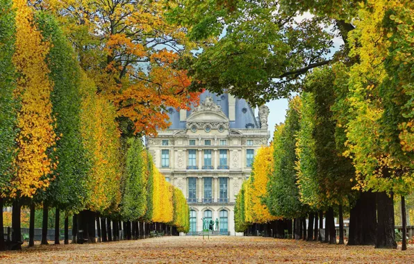 Картинка осень, Франция, Париж, Сады Тюильри