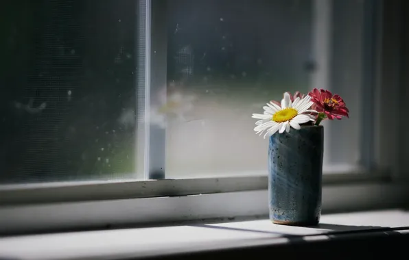 Картинка цветы, дом, окно
