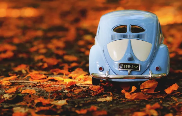 Картинка машина, авто, осень, листья, природа, фон, листва, игрушка, номер, Volkswagen, автомобиль, машинка, вид сзади, голубая, …