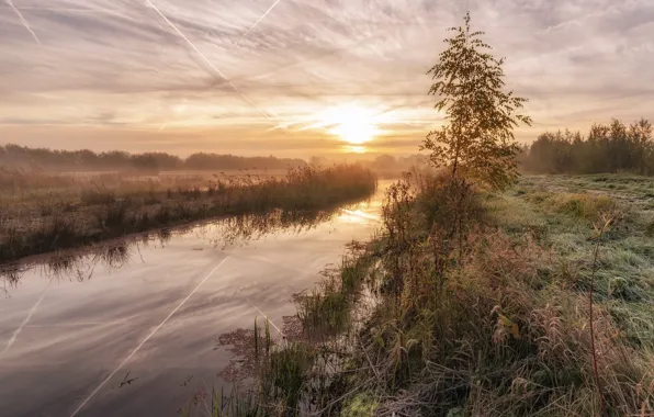 Картинка осень, природа, туман, река, утро