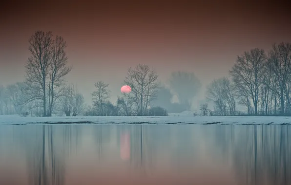 Картинка зима, деревья, озеро, восход, рассвет, утро