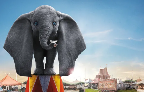 Картинка глаза, слон, цирк, уши, хобот, слоник, Dumbo, Дамбо