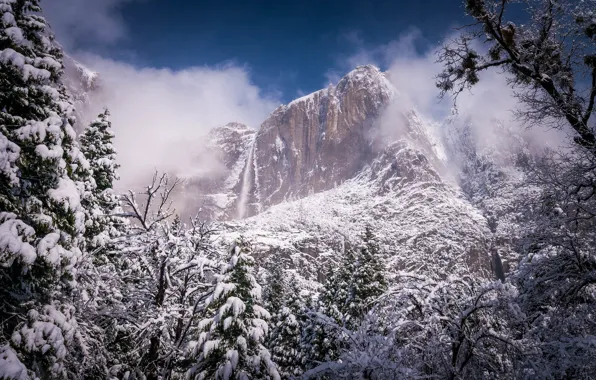Картинка зима, лес, пейзаж, природа, туман, скала, гора, красота