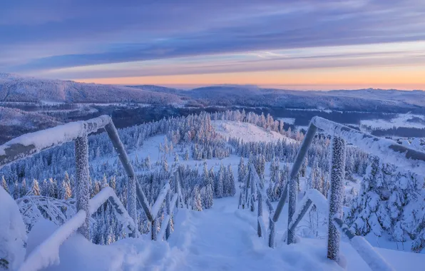 Картинка зима, снег, деревья, горы, Германия, ели, лестница, Germany, Harz Mountains, Горы Гарц