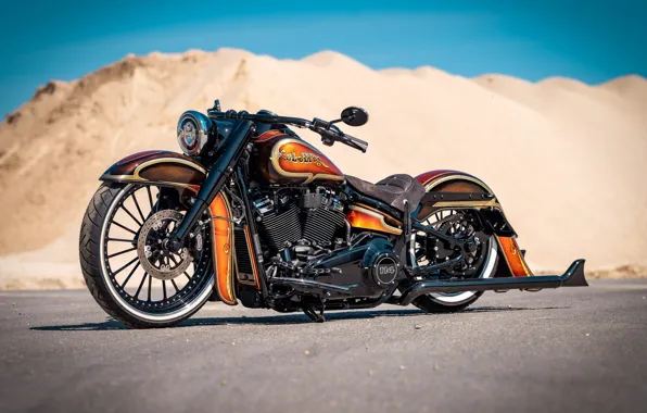 Картинка Harley Davidson, Harley-Davidson, Custom, Motorcycle, Thunderbike, By Thunderbike, Heavy Road Bike, EL JEFE