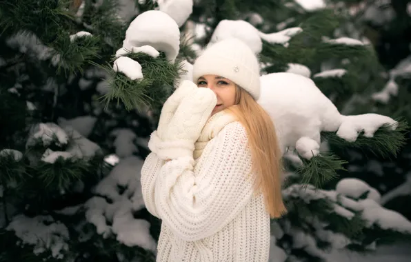Картинка зима, девушка, снег, ветки, шапка, блондинка, хвоя, сосна, варежки, свитер, рукавицы, Николай Брехов