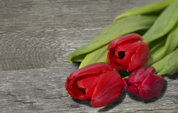 Картинка цветы, доски, букет, тюльпаны, красные, трио