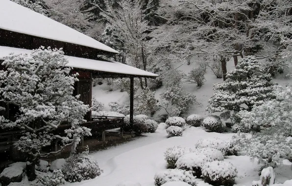 Картинка Япония, Дом, House, Japan, Winter Garden, Snow Trees, Снежные Деревья, Зимний Сад