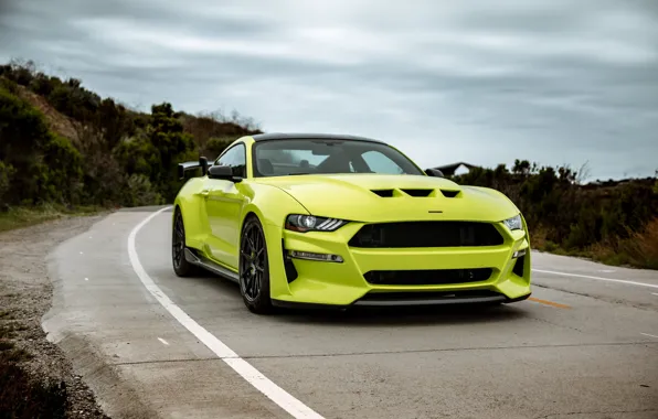 Картинка Mustang, Ford, вид спереди, tuning, 2019, Revenge GT
