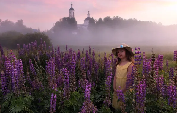Картинка лето, цветы, туман, девочка