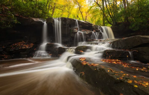 Картинка осень, лес, листья, деревья, камни, скалы, берег, водопад, поток