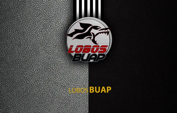 Картинка wallpaper, sport, logo, football, Lobos BUAP