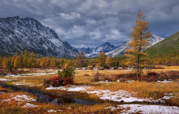 Картинка осень, снег, пейзаж, горы, тучи, природа, растительность, Колыма, Максим Евдокимов