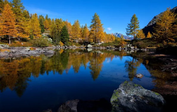 Картинка осень, лес, деревья, озеро, отражение, камни, Италия, Italy, Валле-д’Аоста, Valle d'Aosta, Aosta Valley, Аостская долина