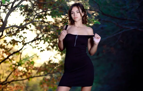 Картинка forest, hot girl, trees, brown hair, nature, sexy woman, countryside, posing, black dress, cute girl, …