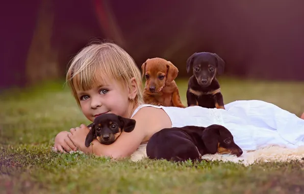 Картинка собаки, взгляд, настроение, щенки, девочка, друзья