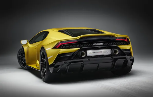 Картинка Lamborghini, вид сзади, Huracan, 2020, RWD, Huracan Evo