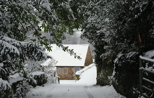 Картинка Природа, Nature, Snow Trees, Снежные Деревья, Winter House, Зимний Домик