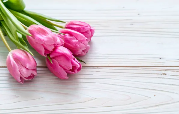 Картинка цветы, розовый, тюльпаны