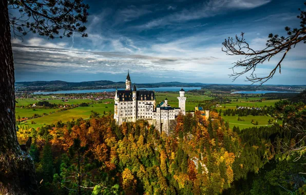 Картинка лес, горы, замок, вид, высота, Германия, Бавария, архитектура, Нойшванштайн