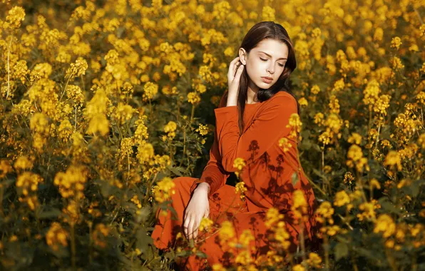 Картинка поле, лето, девушка, цветы, природа, поза, брюнетка, красивая, Tania Cerviаn
