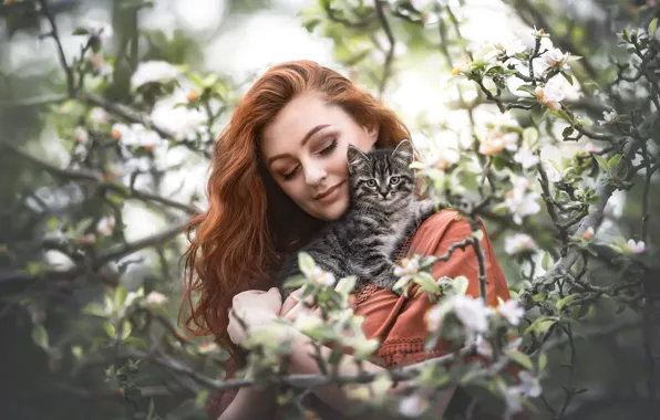 Картинка девушка, поза, котенок, сад, рыжая, цветение, Natalie Grobe