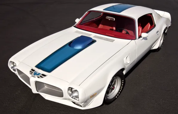 Картинка Pontiac, White, Firebird, Trans Am, Muscle Car
