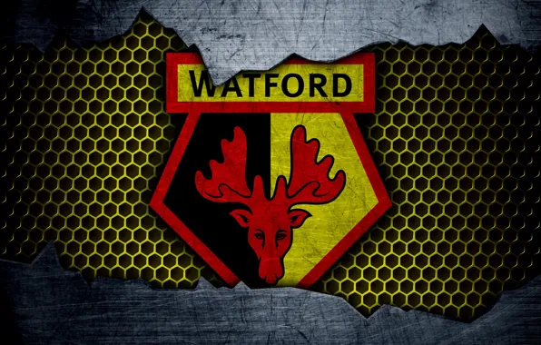 Картинка wallpaper, sport, logo, football, Watford