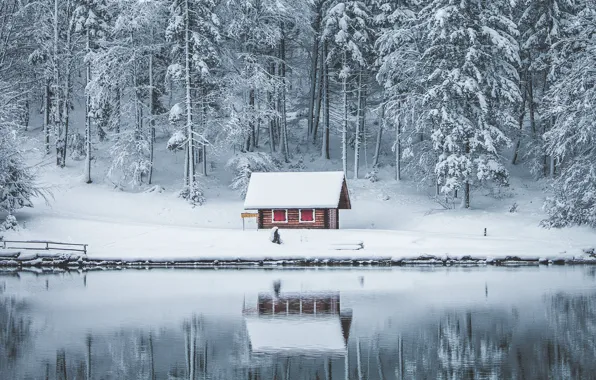Картинка зима, лес, снег, озеро, дом, отражение, в снегу, берег, избушка, ели, сугробы, сосны, домик, водоем, …