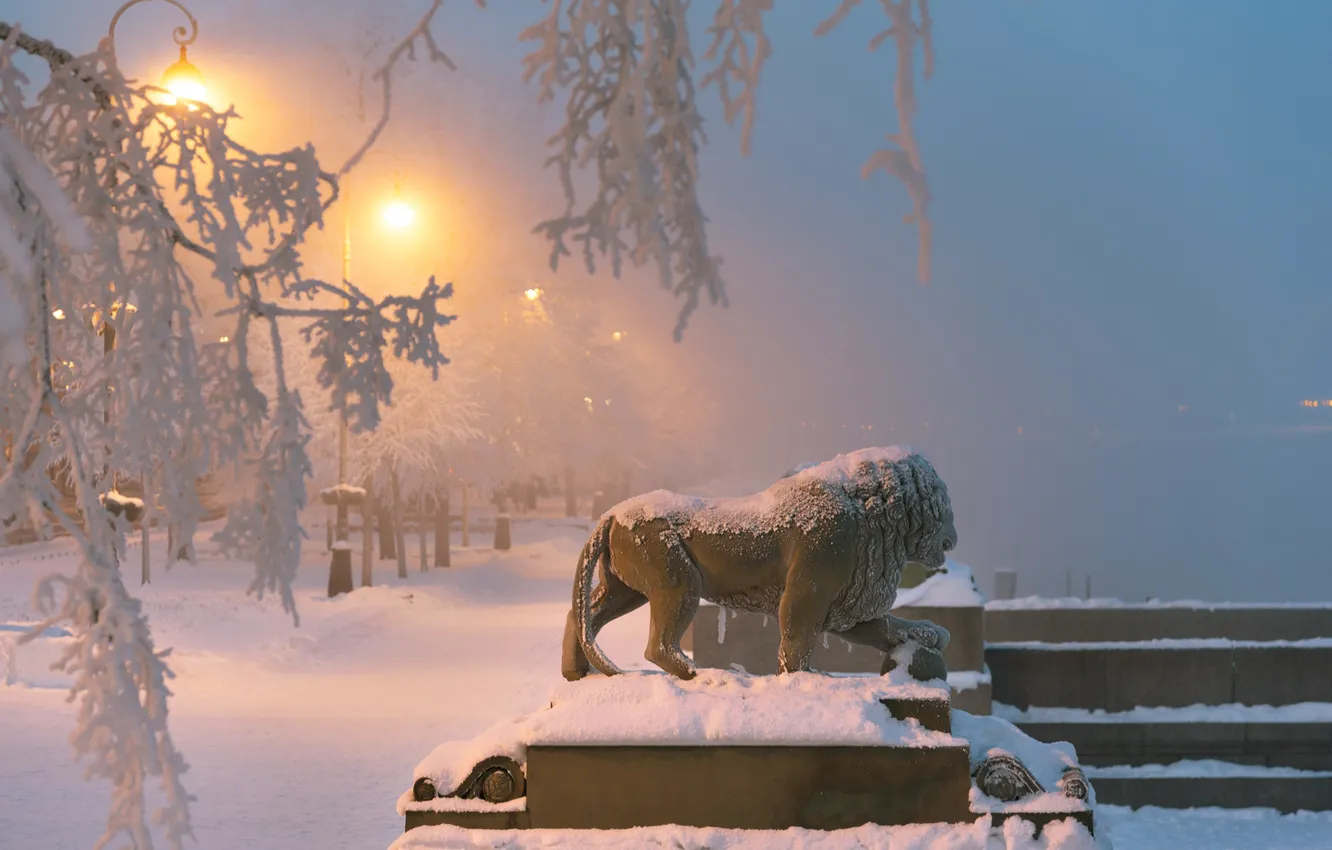 Зимний Питер львы