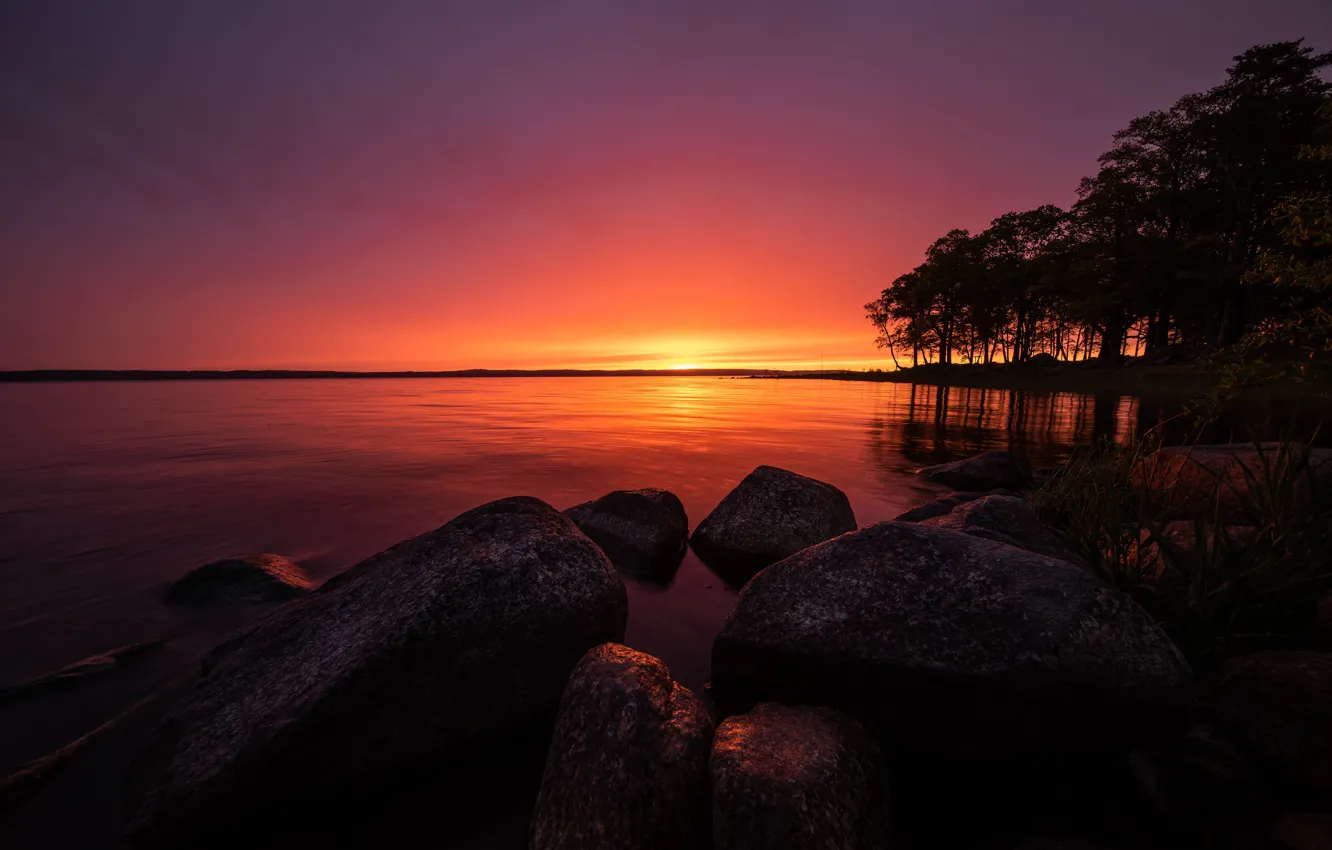 Фото обои деревья, озеро, восход, камни, утро, Швеция