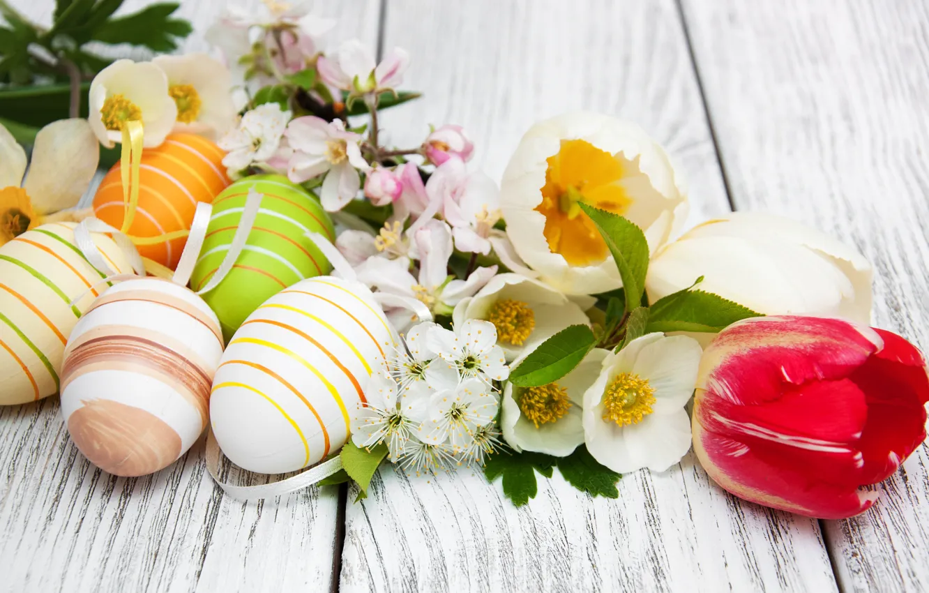 Фото обои цветы, яйца, весна, colorful, Пасха, happy, wood, blossom, flowers, tulips, spring, Easter, eggs, decoration