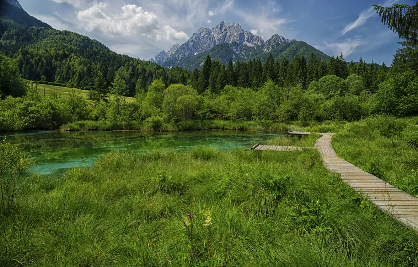 Фото обои трава, горы, озеро, фото, тропа, Словения