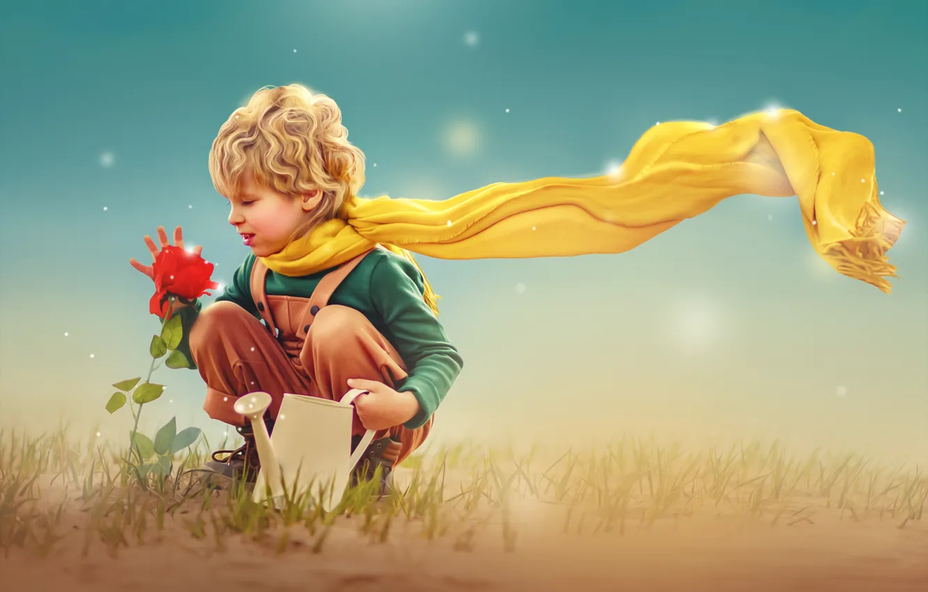 Фото обои цветок, роза, мальчик, шарф, лейка, ребёнок, фотоарт, Ксения Лысенкова, Маленький принц