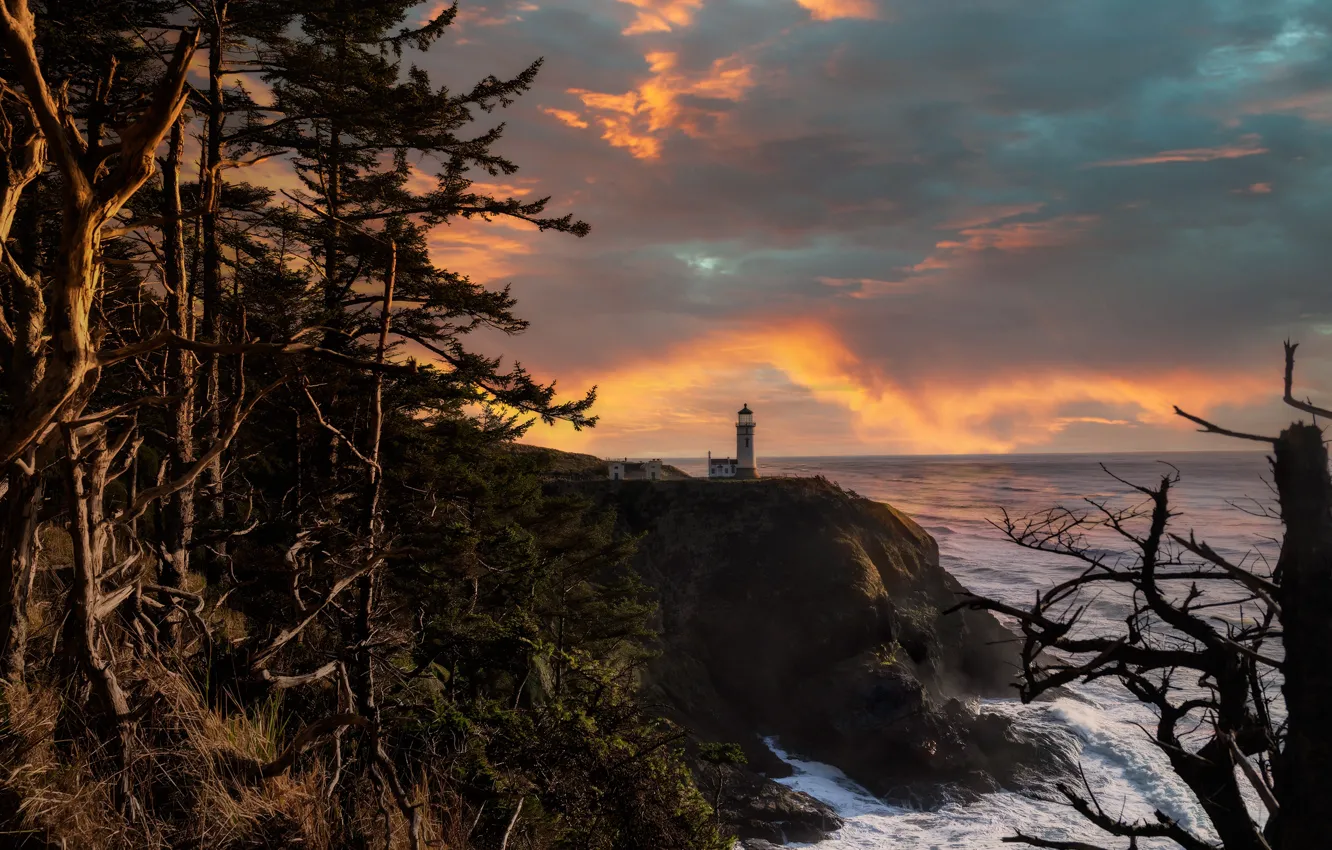 Фото обои деревья, пейзаж, закат, природа, океан, скалы, маяк, США