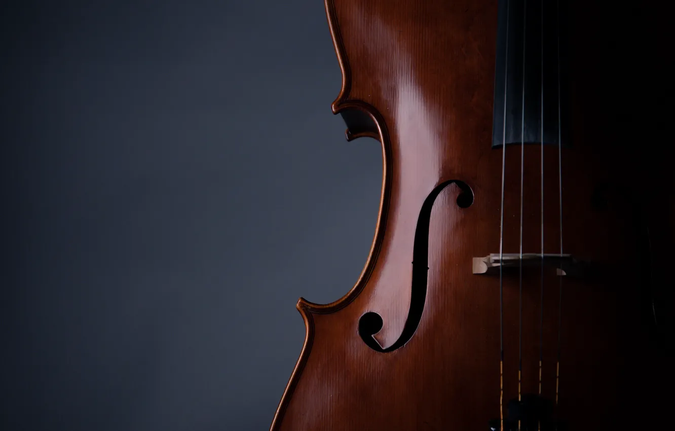 Фото обои music, violin, strings, musical instrument, 2k hd background