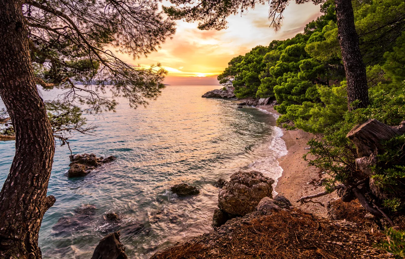 Фото обои море, лес, деревья, пейзаж, закат, природа, камни, побережье, Адриатика, Адриатическое море