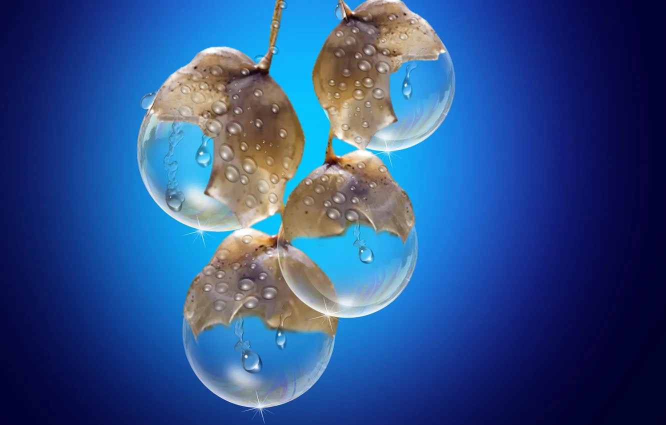 Фото обои drops, fruits, rain drops, cristal