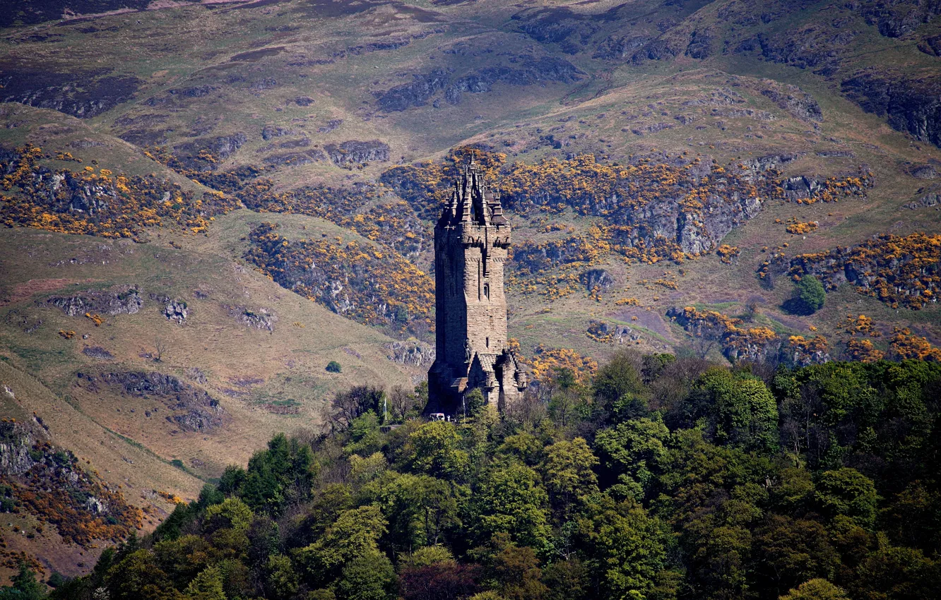 Фото обои деревья, горы, башня, Шотландия, Stirling, Wallace Monument Stirling, паятник