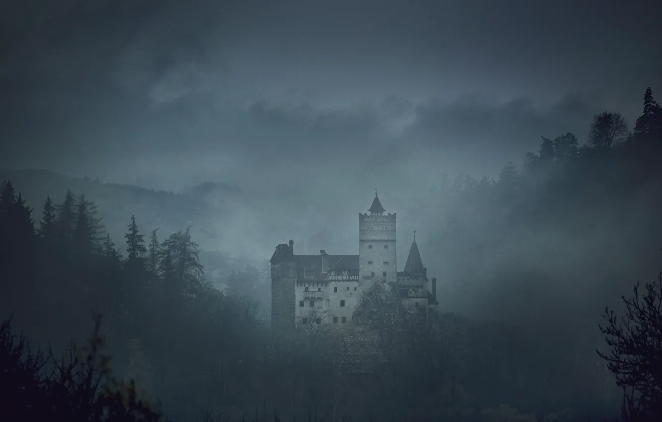 Фото обои небо, деревья, туман, Румыния, средневековая архитектура, замок Бран