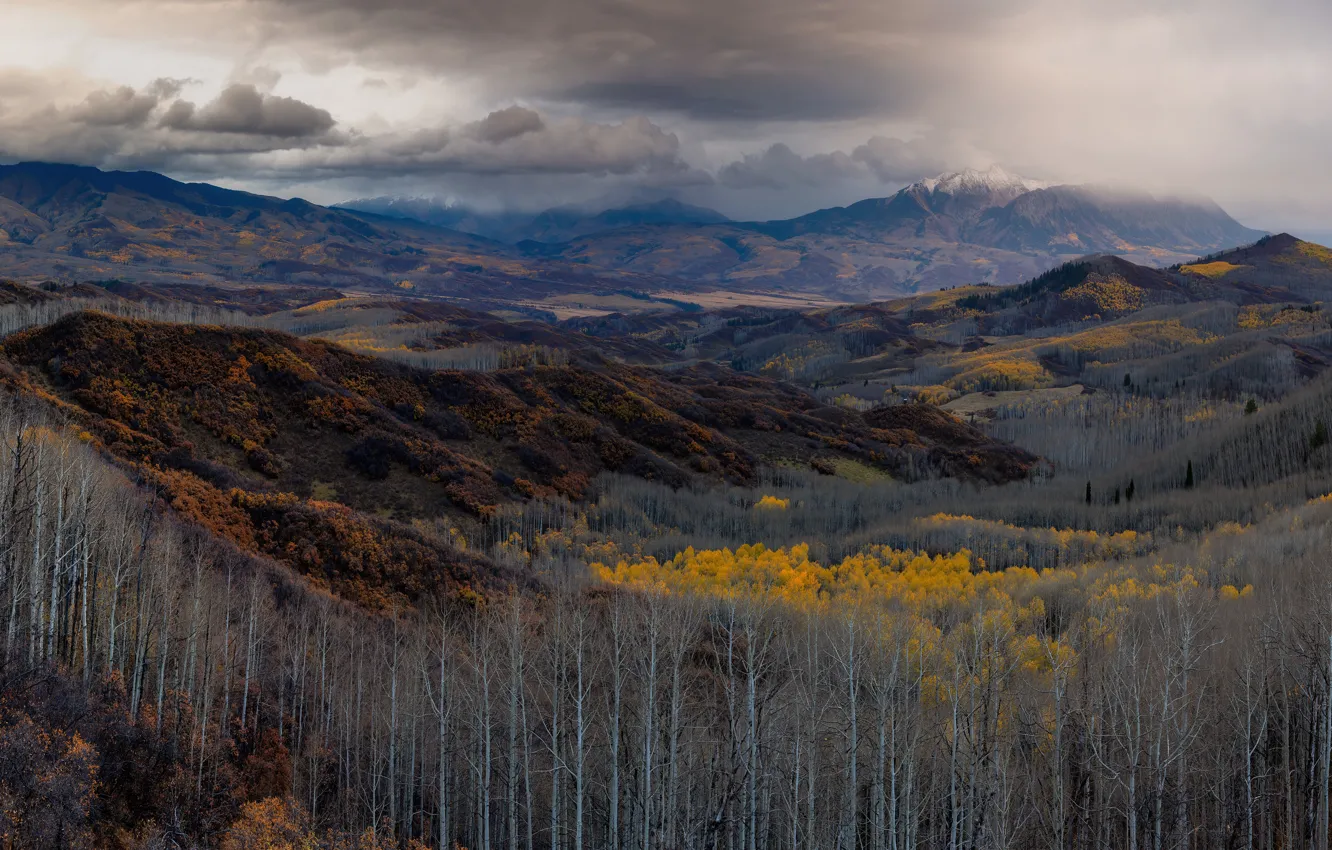 Фото обои осень, лес, облака, деревья, горы, холмы, склоны, даль, дымка