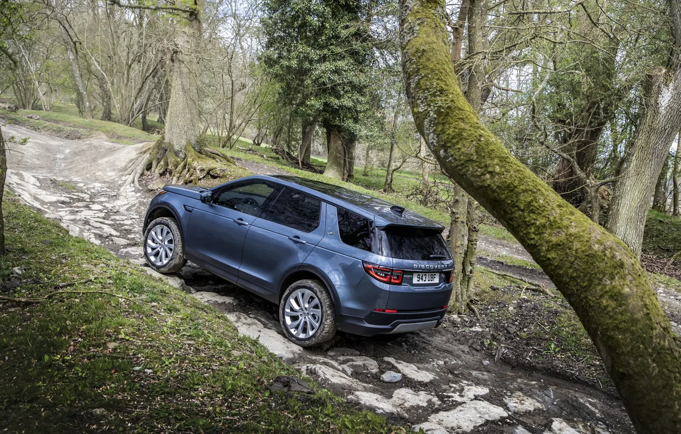 Фото обои лес, деревья, камни, Land Rover, подъём, кроссовер, SUV, 2020, Discovery Sport