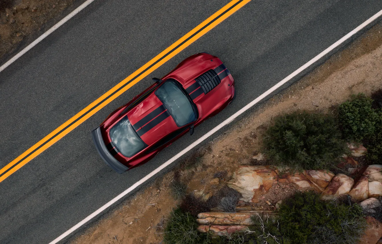 Фото обои Mustang, Ford, Shelby, GT500, вид сверху, кровавый, 2019