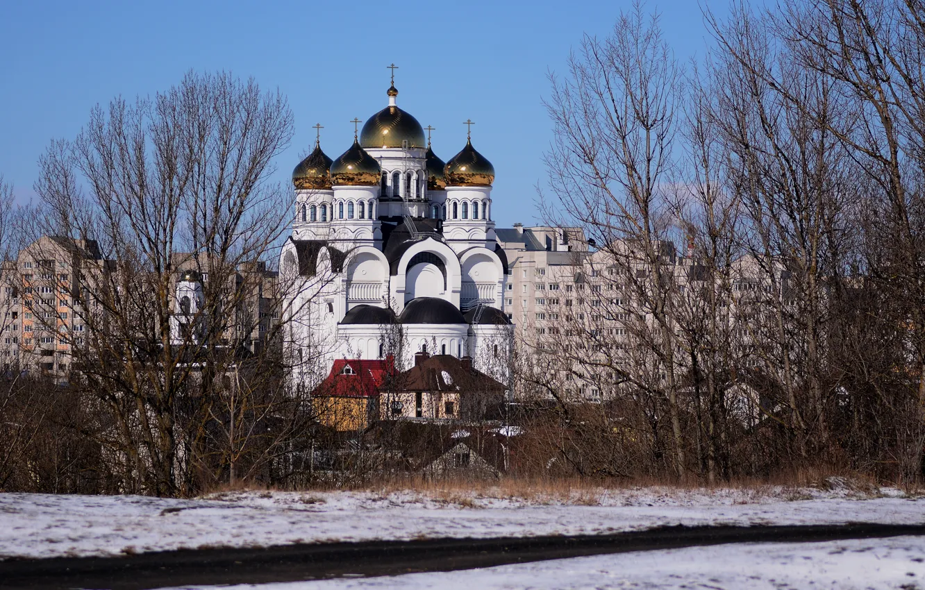Фото обои снег, пейзаж, город, собор, Могилев