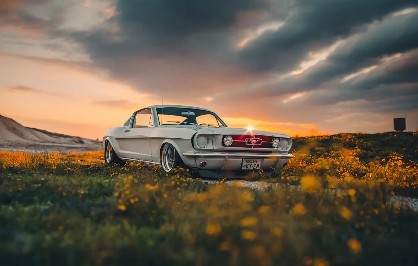 Фото обои Mustang, Ford, Shelby, Car, Sun, GT350