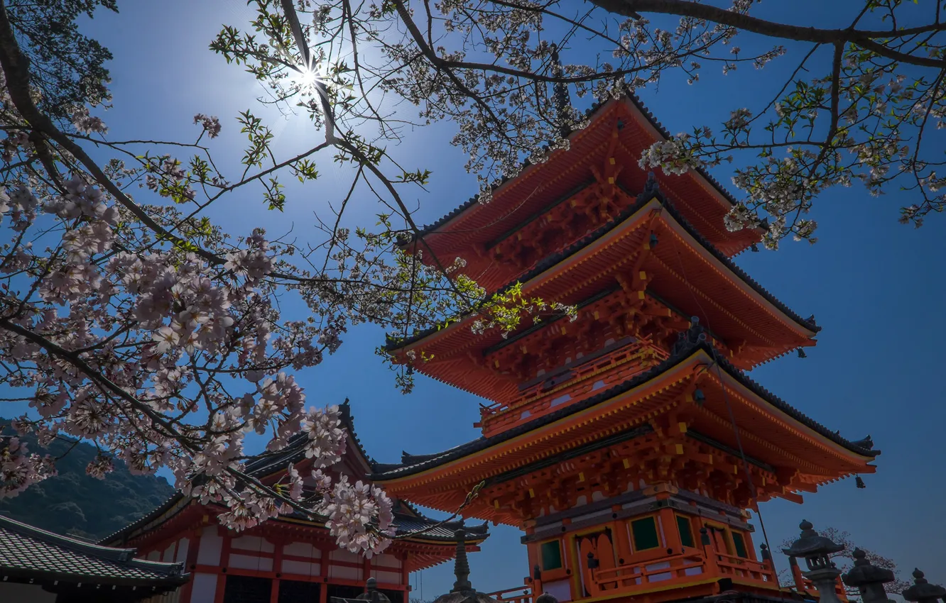 Япония Сакура пагода