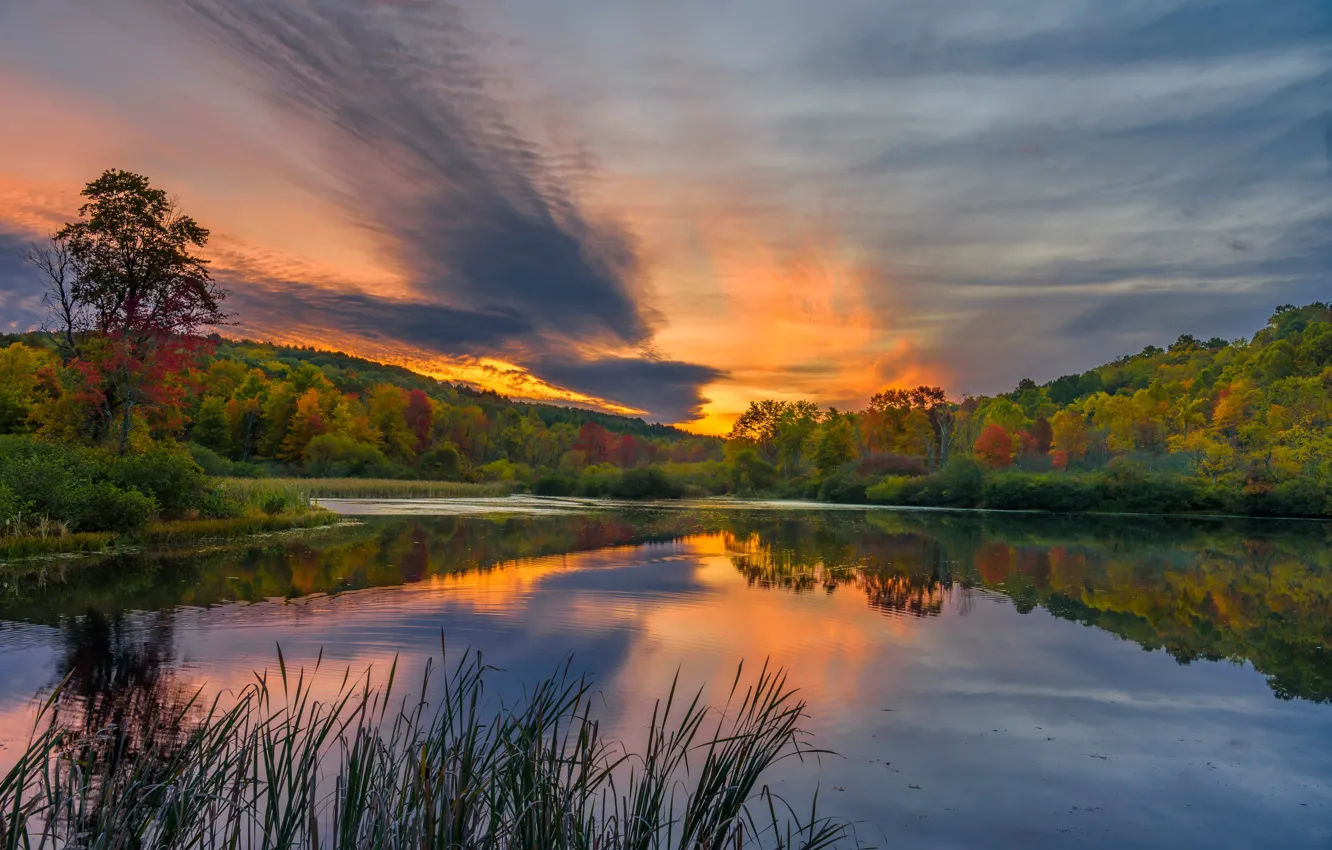 Фото обои осень, лес, озеро, восход, рассвет, утро, Пенсильвания, Pennsylvania, Laurel Highlands, Keystone State Park